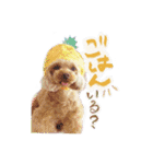 アネミルのスタンプだよん（個別スタンプ：11）