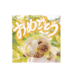 アネミルのスタンプだよん（個別スタンプ：12）