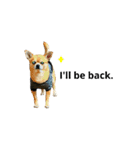 秀太郎さん！！（個別スタンプ：1）
