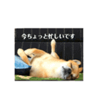 秀太郎さん！！（個別スタンプ：8）