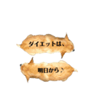 秀太郎さん！！（個別スタンプ：10）