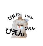 もじゃの愉快な仲間たち2（個別スタンプ：8）