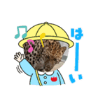アニマルでごあいさつ（個別スタンプ：15）