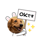 シェリくん♡（個別スタンプ：6）