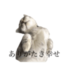 こねこののあたんぷ（個別スタンプ：10）