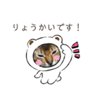 ミア、クレア、ネオファミリー＋タマ（個別スタンプ：14）