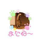 ミア、クレア、ネオファミリー＋タマ（個別スタンプ：15）