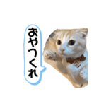 お嬢(ひな)スタンプ（個別スタンプ：8）