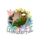 インコのきくちゃん2（個別スタンプ：2）