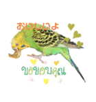 インコのきくちゃん2（個別スタンプ：4）