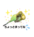 インコのきくちゃん2（個別スタンプ：5）