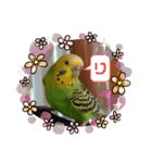 インコのきくちゃん2（個別スタンプ：7）