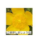 オプちゃで使えるスタンプ  1（個別スタンプ：8）