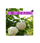 オプちゃで使えるスタンプ  1（個別スタンプ：14）