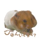 ちくわしゃんの日常（個別スタンプ：3）