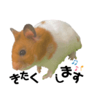 ちくわしゃんの日常（個別スタンプ：13）