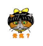 Hair Cats（個別スタンプ：22）