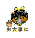 Hair Cats（個別スタンプ：23）