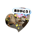 きんちゃんぎんちゃんの日常（個別スタンプ：2）