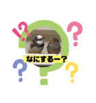 きんちゃんぎんちゃんの日常（個別スタンプ：5）