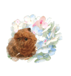 花 モルモット ハリネズミ ロブスター（個別スタンプ：10）
