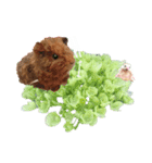 花 モルモット ハリネズミ ロブスター（個別スタンプ：32）