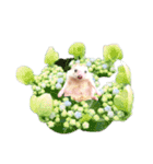花 モルモット ハリネズミ ロブスター（個別スタンプ：34）