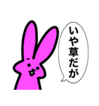 カードゲームうさぎ4（個別スタンプ：8）