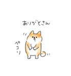 シンプル 柴犬 日常会話（個別スタンプ：6）