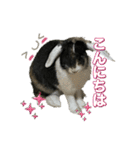 敬語 うさシリーズ（個別スタンプ：1）
