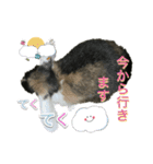 敬語 うさシリーズ（個別スタンプ：12）
