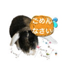敬語 うさシリーズ（個別スタンプ：19）