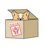 デカ動く 猛コーギー（個別スタンプ：20）