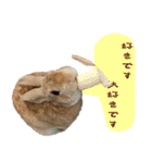 トラックうさぎ桃次郎（個別スタンプ：1）