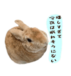 トラックうさぎ桃次郎（個別スタンプ：2）