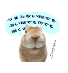 トラックうさぎ桃次郎（個別スタンプ：6）