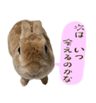 トラックうさぎ桃次郎（個別スタンプ：9）