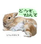 トラックうさぎ桃次郎（個別スタンプ：24）
