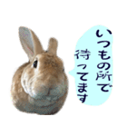 トラックうさぎ桃次郎（個別スタンプ：26）