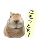 トラックうさぎ桃次郎（個別スタンプ：30）