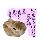 トラックうさぎ桃次郎（個別スタンプ：32）