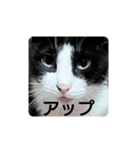 良かったらどうぞ2♥️♥️（個別スタンプ：1）