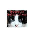 良かったらどうぞ2♥️♥️（個別スタンプ：4）