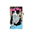 良かったらどうぞ2♥️♥️（個別スタンプ：7）