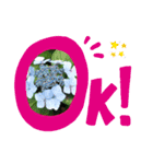 ふれすた（個別スタンプ：7）