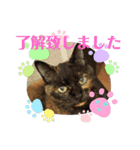 ふれすた（個別スタンプ：8）