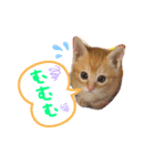 テヤンくん②（個別スタンプ：1）