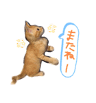 テヤンくん②（個別スタンプ：3）