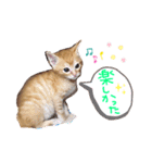 テヤンくん②（個別スタンプ：5）