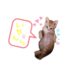 テヤンくん②（個別スタンプ：6）